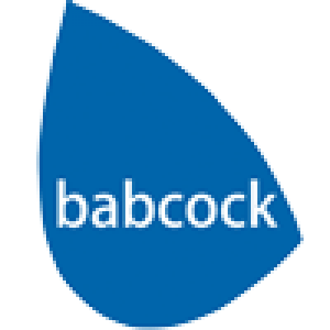 babcock partner elisicilia